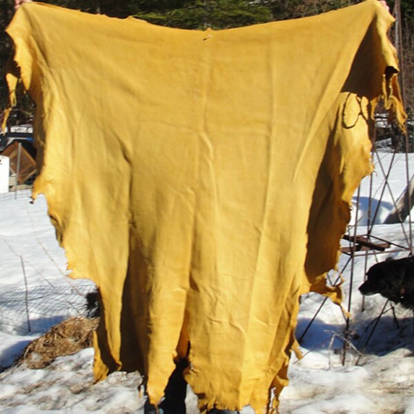 Deerskin (Top Grain) #2 - Gold