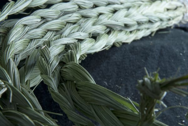 sweetgrass