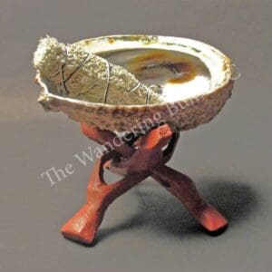 Sage Smudging set with abalone shell