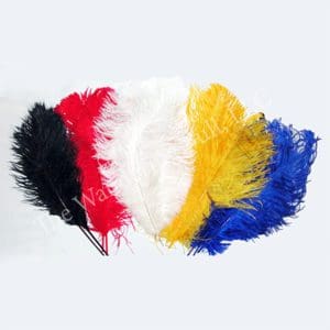 Ostrich Feathers - 50% Off!