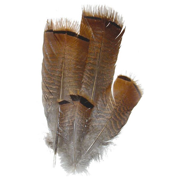 Bronze Pre Tail Turkey Feathers Bronze Pre Tail Turkey Feathers