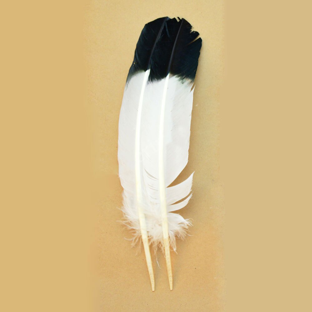 Imitation Eagle Feathers Imitation Eagle Feathers