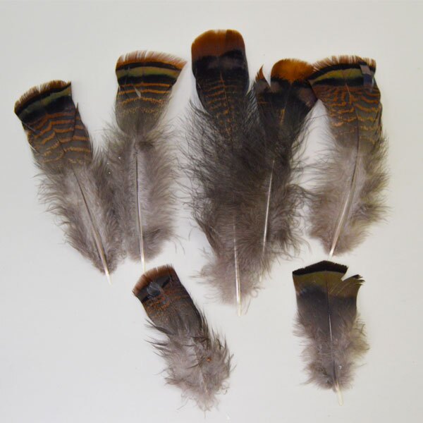 T- Flats Plumage T- Flats Plumage