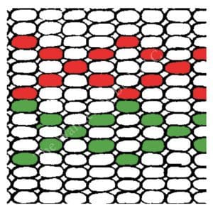 Bead Graph Paper Bead Graph Paper
