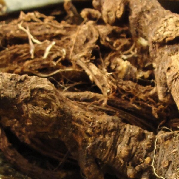 Herb - Osha Root Herb - Osha Root