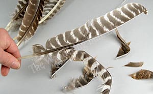 Gustoweh Headdress Instructions