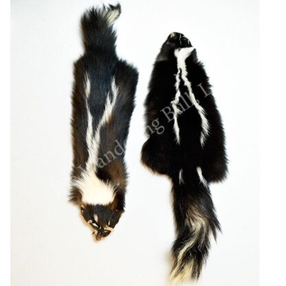 Skunk Pelts