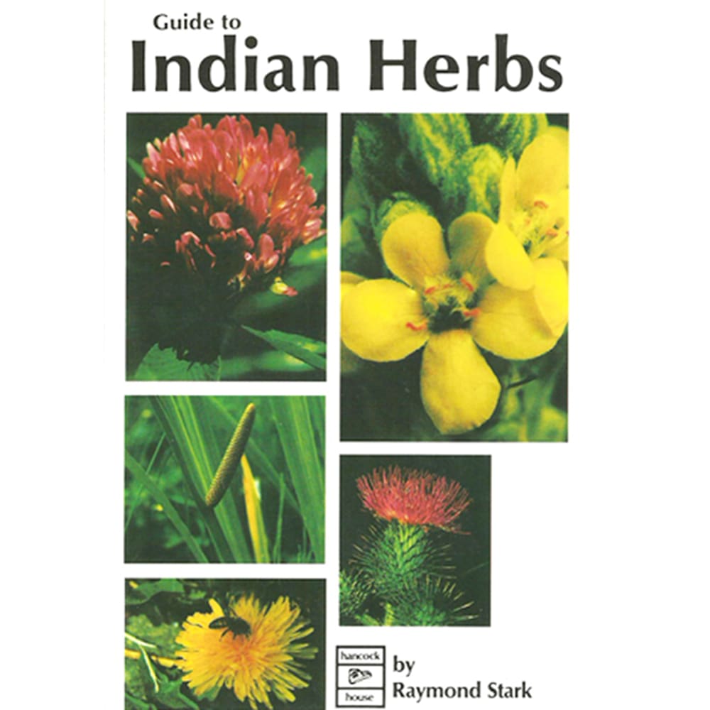 essay on indian herbs