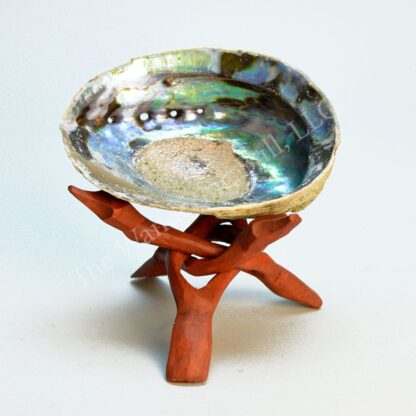 Abalone Shell with Wooden Stand