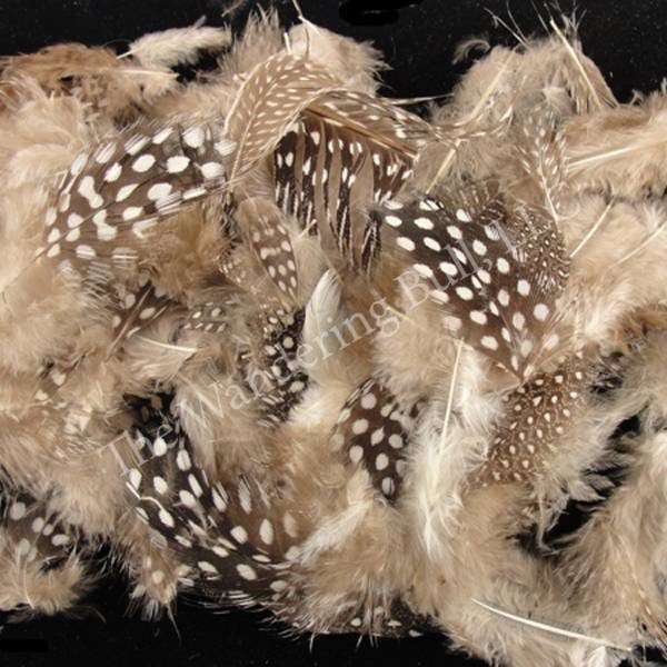 Ostrich Feathers - Wandering Bull Native American Shop