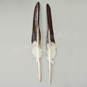 Hand Painted Eagle Spikes