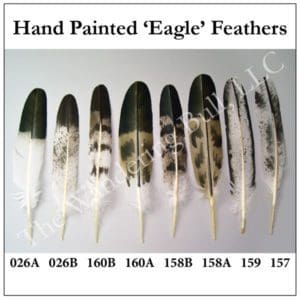Hand-painted "Eagle" Feathers