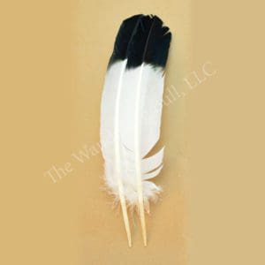 Native American Craft 10 x White Buffalo Bone Imitation Eagle Talons 38mm/1.5" 