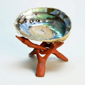 Abalone Shell with Wooden Stand