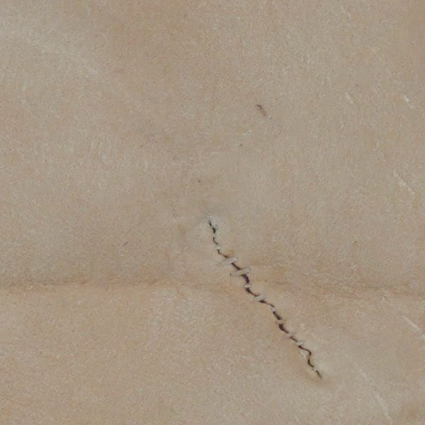 Braintanned Deer Hides showing repaired hole