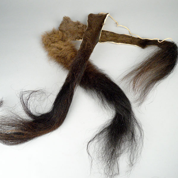 Whole Buffalo Tail Braintanned Whole Buffalo Tail Braintanned