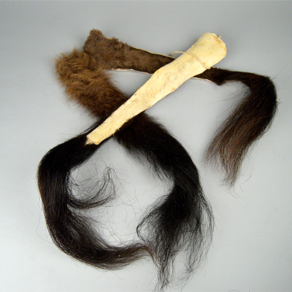 Buffalo Tail showing back side of one
