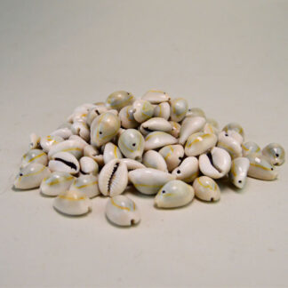 Cowrie Shells Ring top