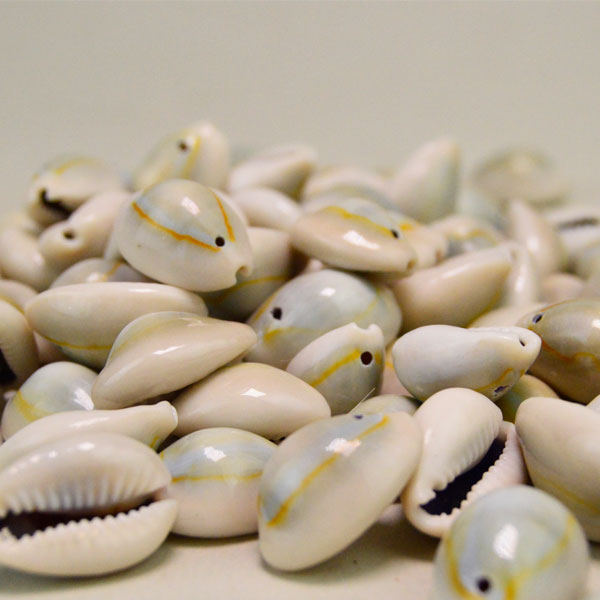 Cowrie Shells ring top