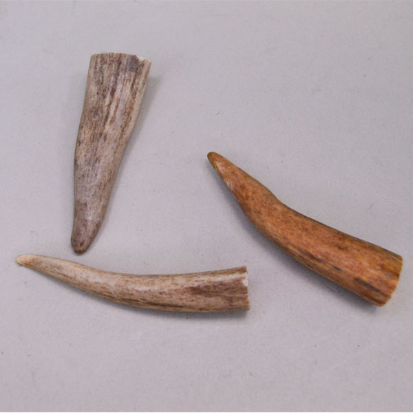 Deer Antler Tips