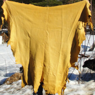 Deerskin (Top Grain) #2 - Gold