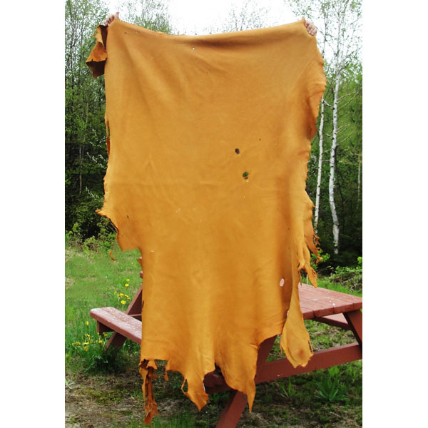 Elk Hide GOLD