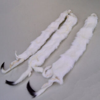 Ermine Skins 3 skins in photo