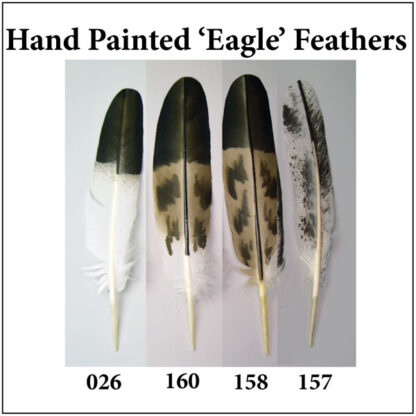 Hand-painted Eagle Feathers