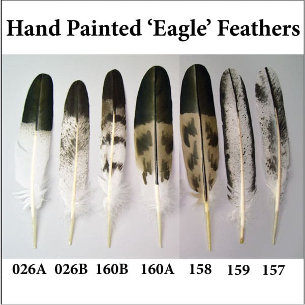 Hand-painted "Eagle" Feathers