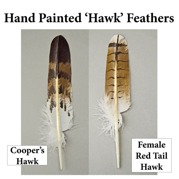 Hand Painted Hawk Feathers