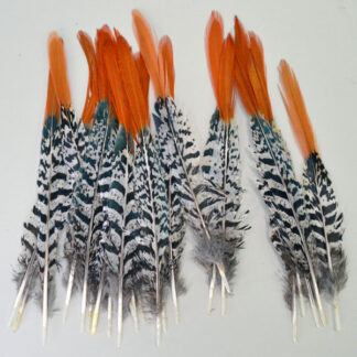 Orange Top Pheasant Feathers