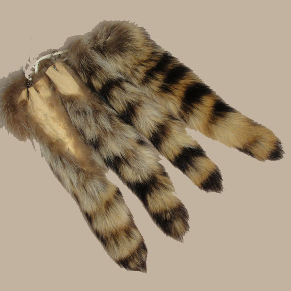 Raccoon Tail on a Chain