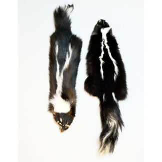 Skunk Pelts