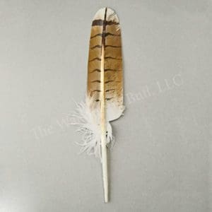Hand-painted "Hawk" Feathers