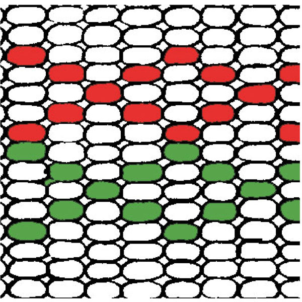 Bead Graph Paper Bead Graph Paper