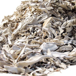 White Sage - 10% Off! White Sage - 10% Off!