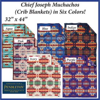 Pendleton Chief Joseph Muchacho Blanket