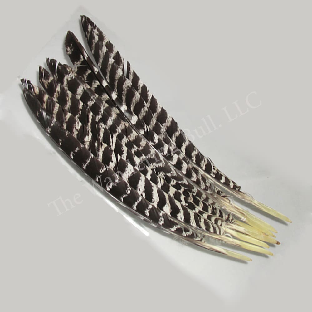 Turkey Spikes Natural Barred