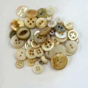 Shell Buttons - Assorted
