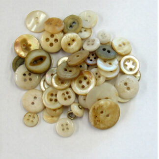 Shell Buttons Assorted
