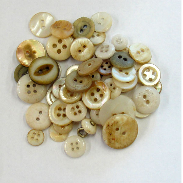 Shell Buttons Assorted