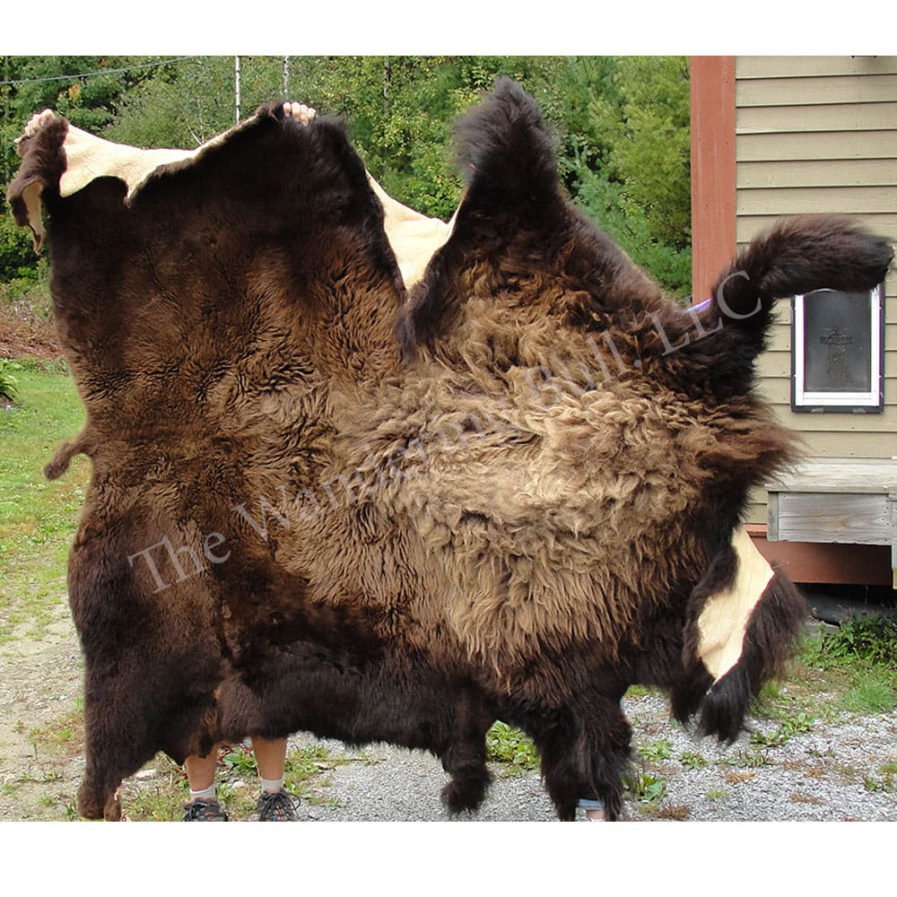 Buffalo Hide Full Size