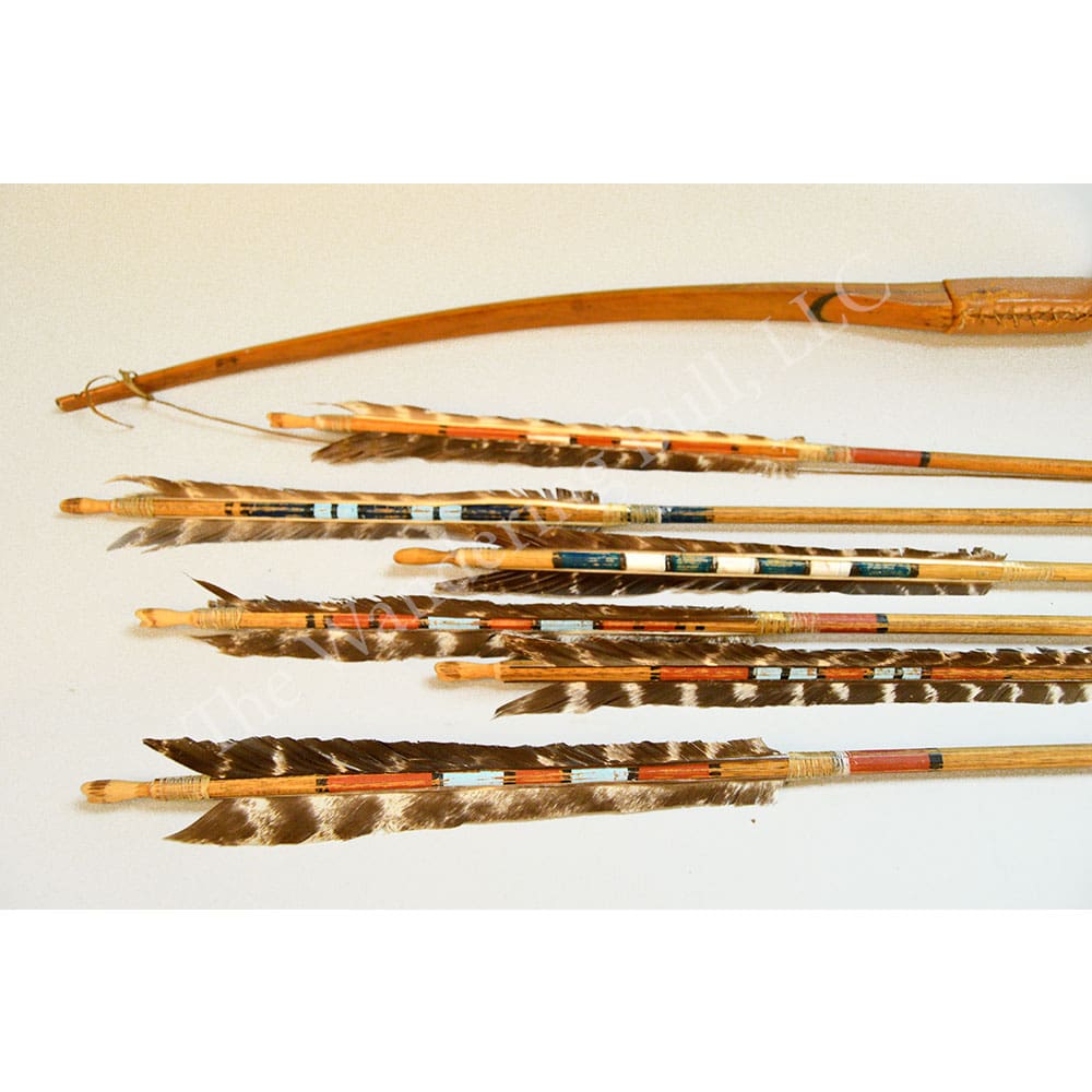Bow & Quiver Case with Arrows