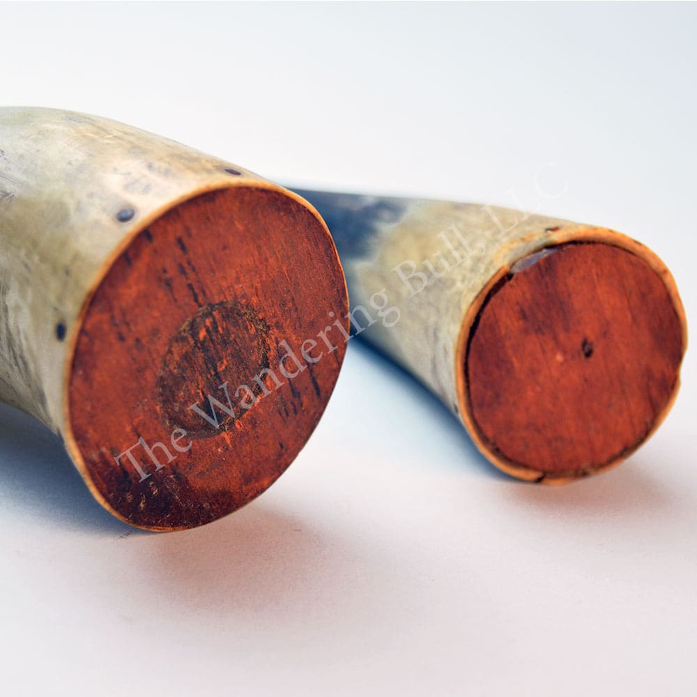 Powder Horn Set of 2 Small