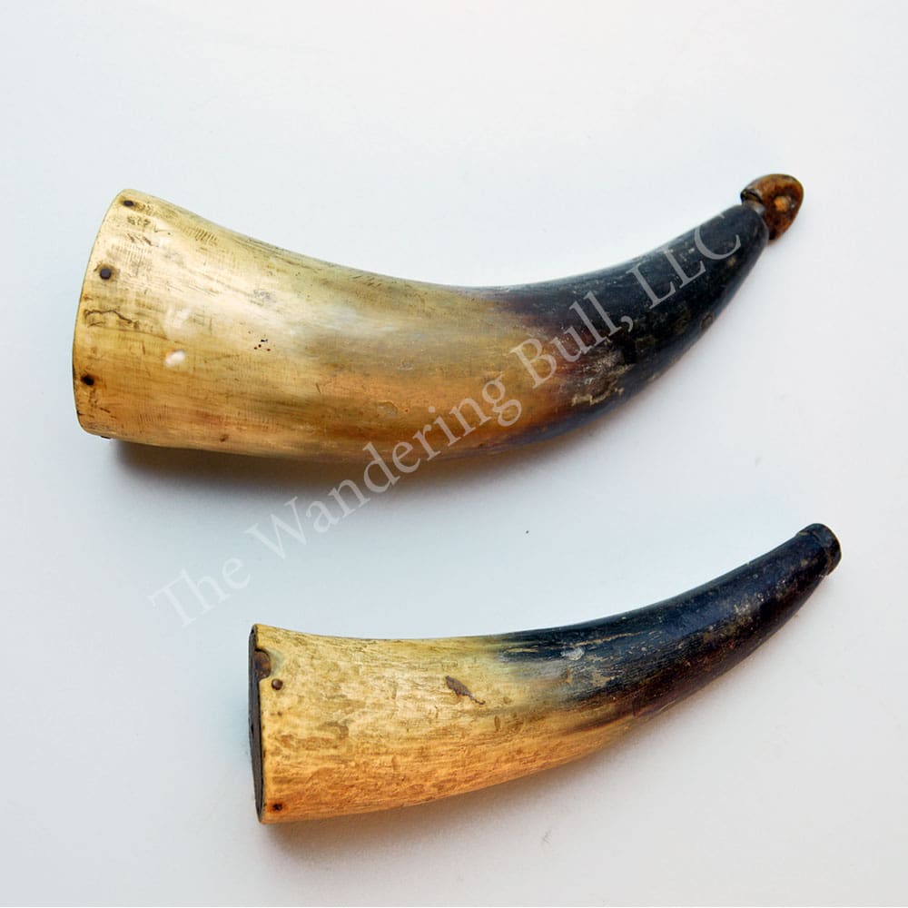 Powder Horn Set of 2 Small