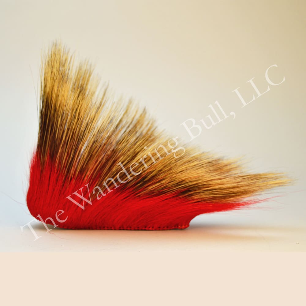 Porcupine Roach - Red 6"