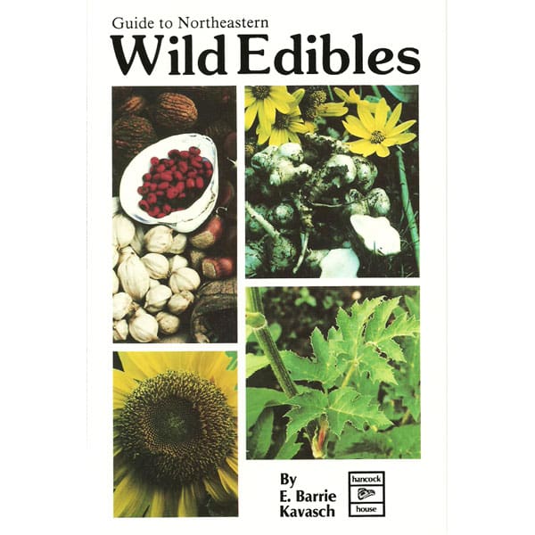 Guide to Northeastern Wild Edibles