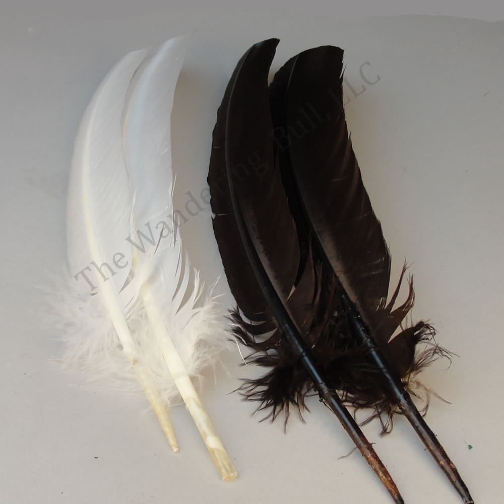 Barred Wing Feathers Turkey - Wandering Bull Native American Shop