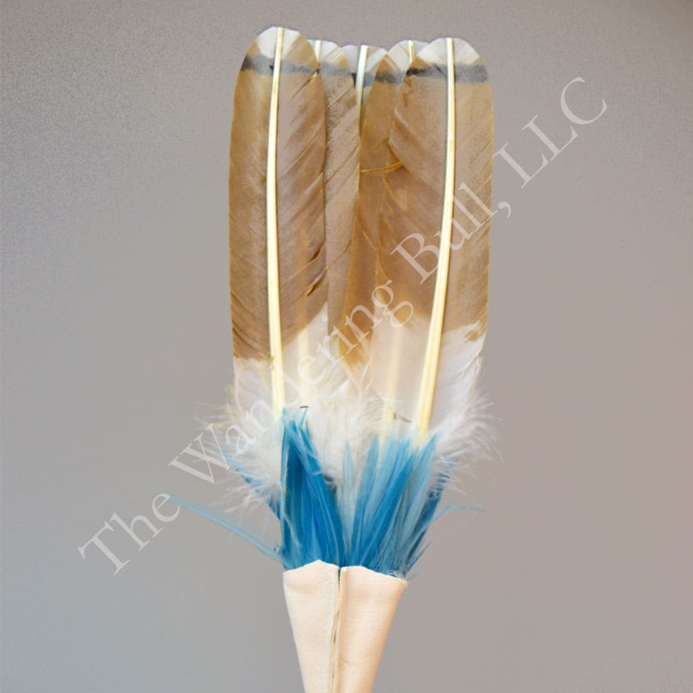 Fan Handpainted Red Tail Hawk Feathers