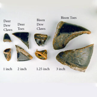 Deer and Bison Toes
